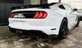 Ford Mustang 2.3 Shelby 314 cv Bianco - thumbnail 8