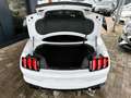 Ford Mustang 2.3 Shelby 314 cv Bianco - thumbnail 9