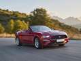 Ford Mustang 2.3 Shelby 314 cv Bianco - thumbnail 10