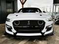 Ford Mustang 2.3 Shelby 314 cv Bianco - thumbnail 5