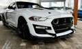 Ford Mustang 2.3 Shelby 314 cv Bianco - thumbnail 4