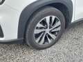 Suzuki S-Cross 1.4 Boosterjet Style Smart Hybrid OPEN DAK | TREKH Blanc - thumbnail 25