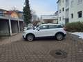 Audi Q2 Q2 35 TFSI Weiß - thumbnail 3