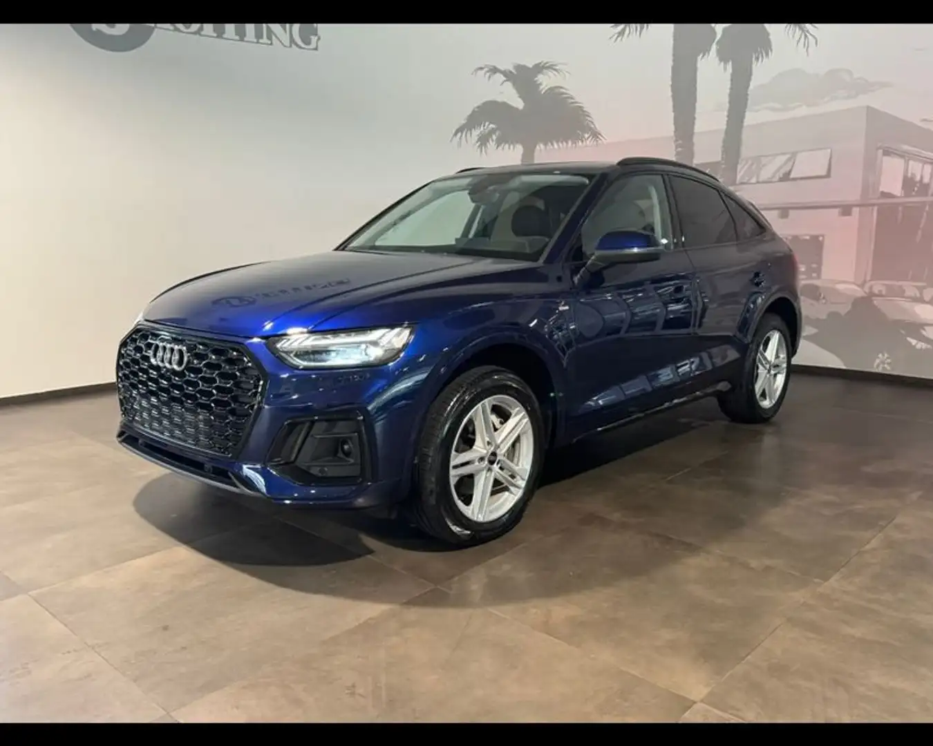Audi Q5 2ª serie SPB 40 TDI quattro S tronic S line Blu/Azzurro - 1