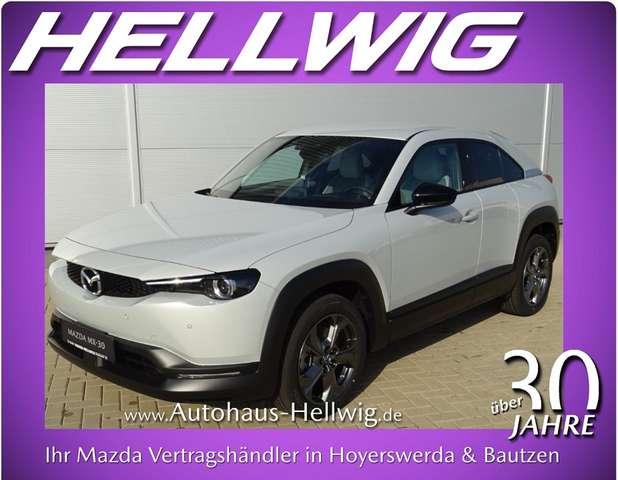 Imagine Mazda MX-30 e-SKYACTIV EV Advantage Industrial Vintage Matrix-