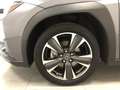 Lexus UX 250h Premium 4wd cvt Grijs - thumbnail 7
