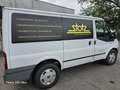 Ford Transit Bus 2.4TDCI Weiß - thumbnail 4