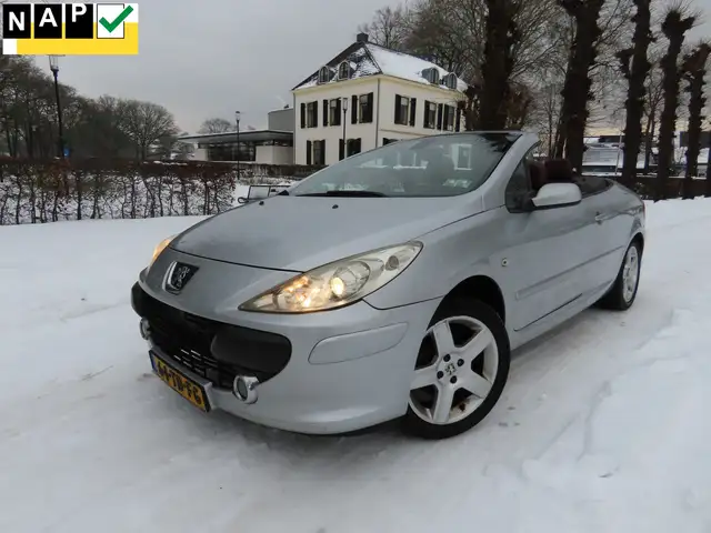 Peugeot 307 CC 2.0-16V Leer Stoelverwarming Ecc Cruisecontrol