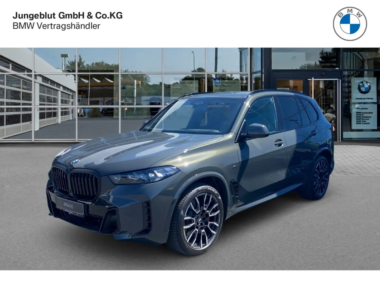 BMW X5 xDrive30d M Sport HarmanKardon/Driv.Assist.Pro/AHK Grau - 1