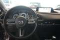 Mazda CX-30 GT+ AWD (EURO 6d) Grau - thumbnail 12