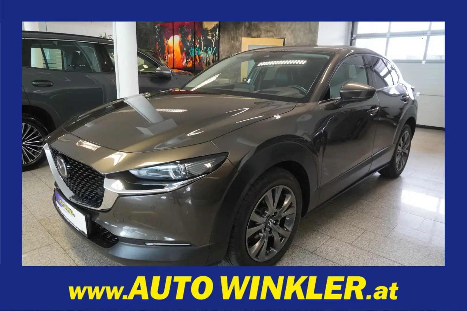 Mazda CX-30 GT+ AWD (EURO 6d) Grau - 1