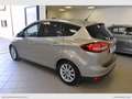 Ford C-Max 1.0 EcoBoost 125 CV S&S Titanium Beige - thumbnail 4