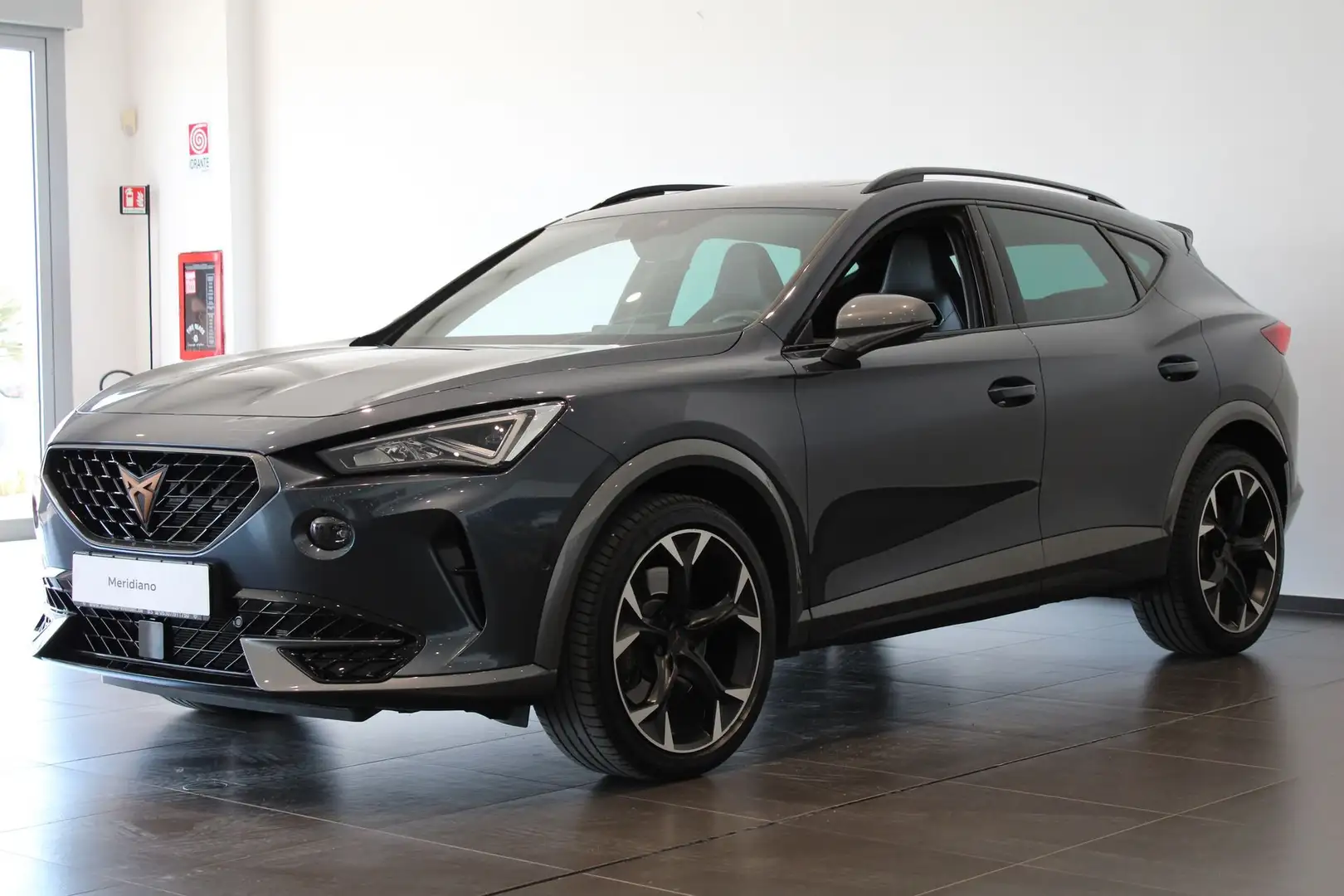 CUPRA Formentor 2.0 TSI DSG VZ - 1