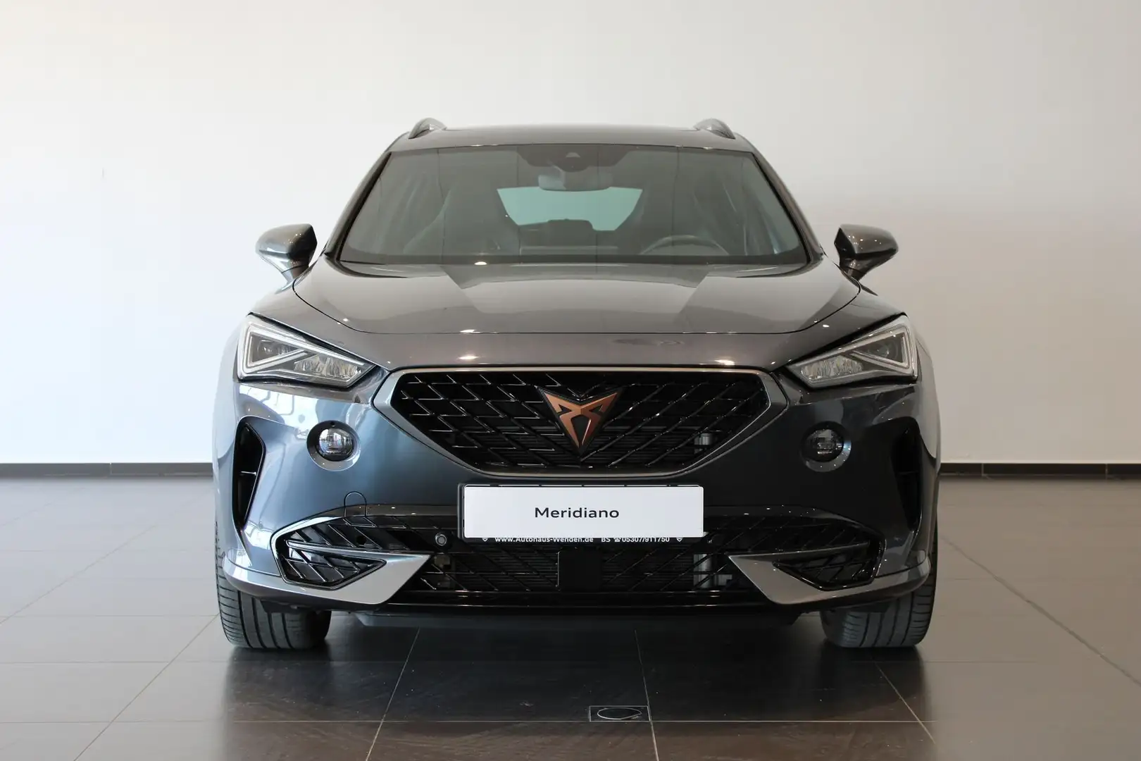 CUPRA Formentor 2.0 TSI DSG VZ - 2