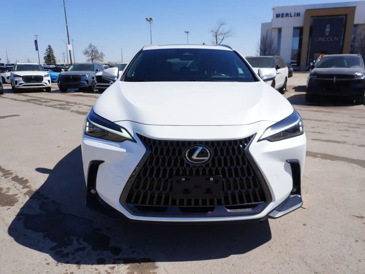Lexus NX photo Lexus NX