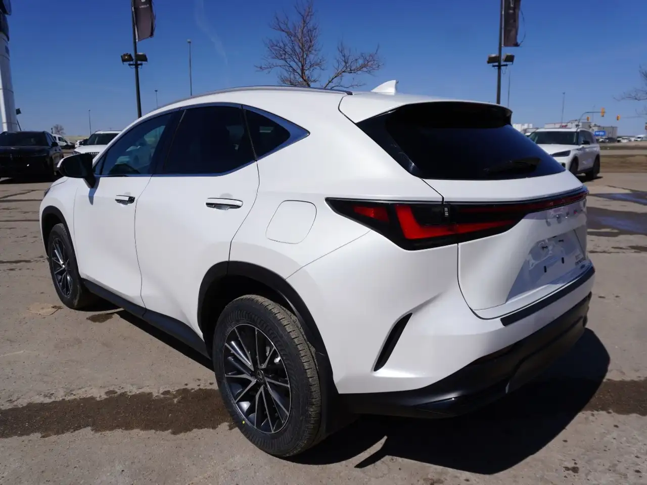 Lexus NX photo Lexus NX