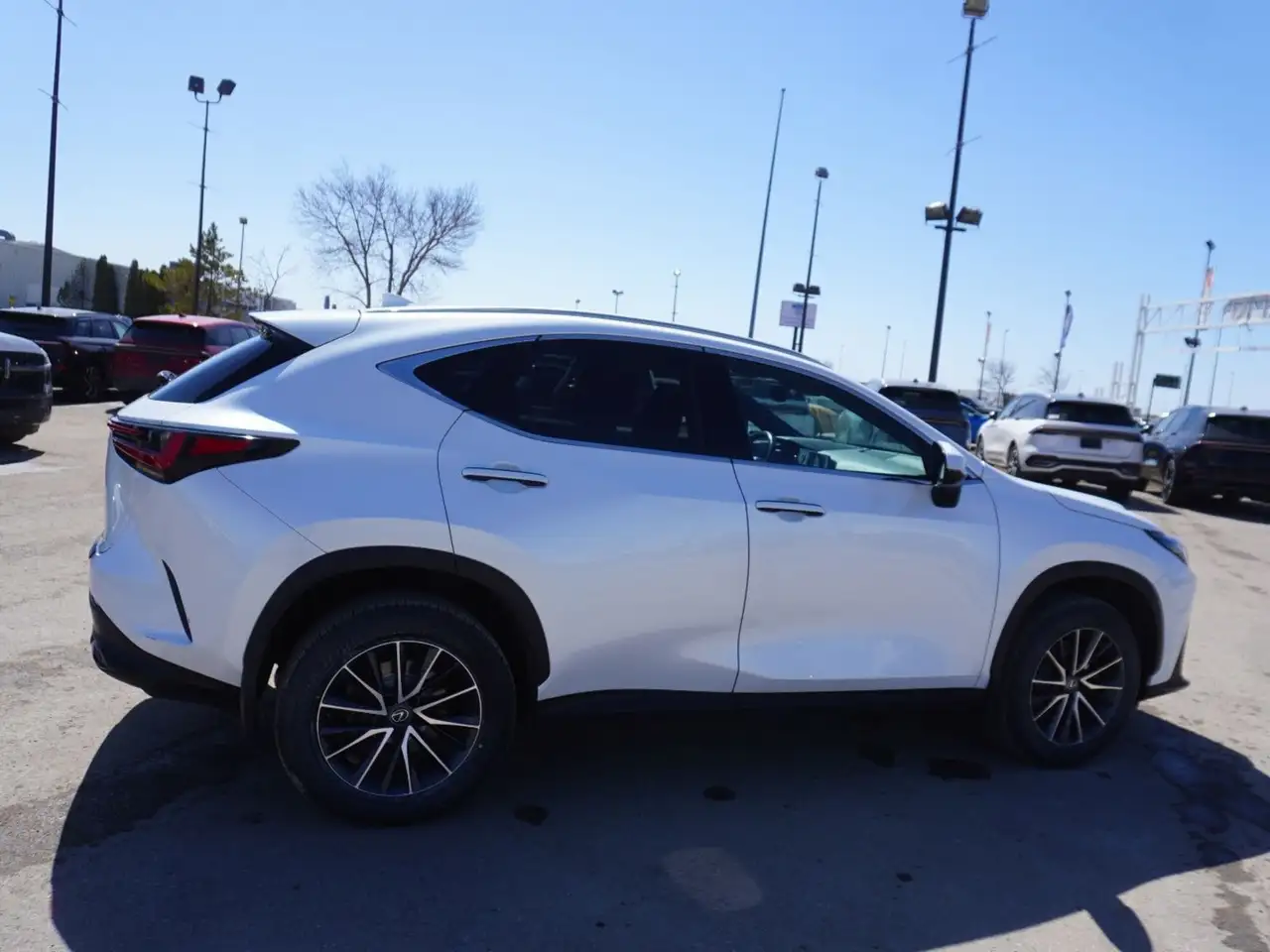 Lexus NX photo Lexus NX