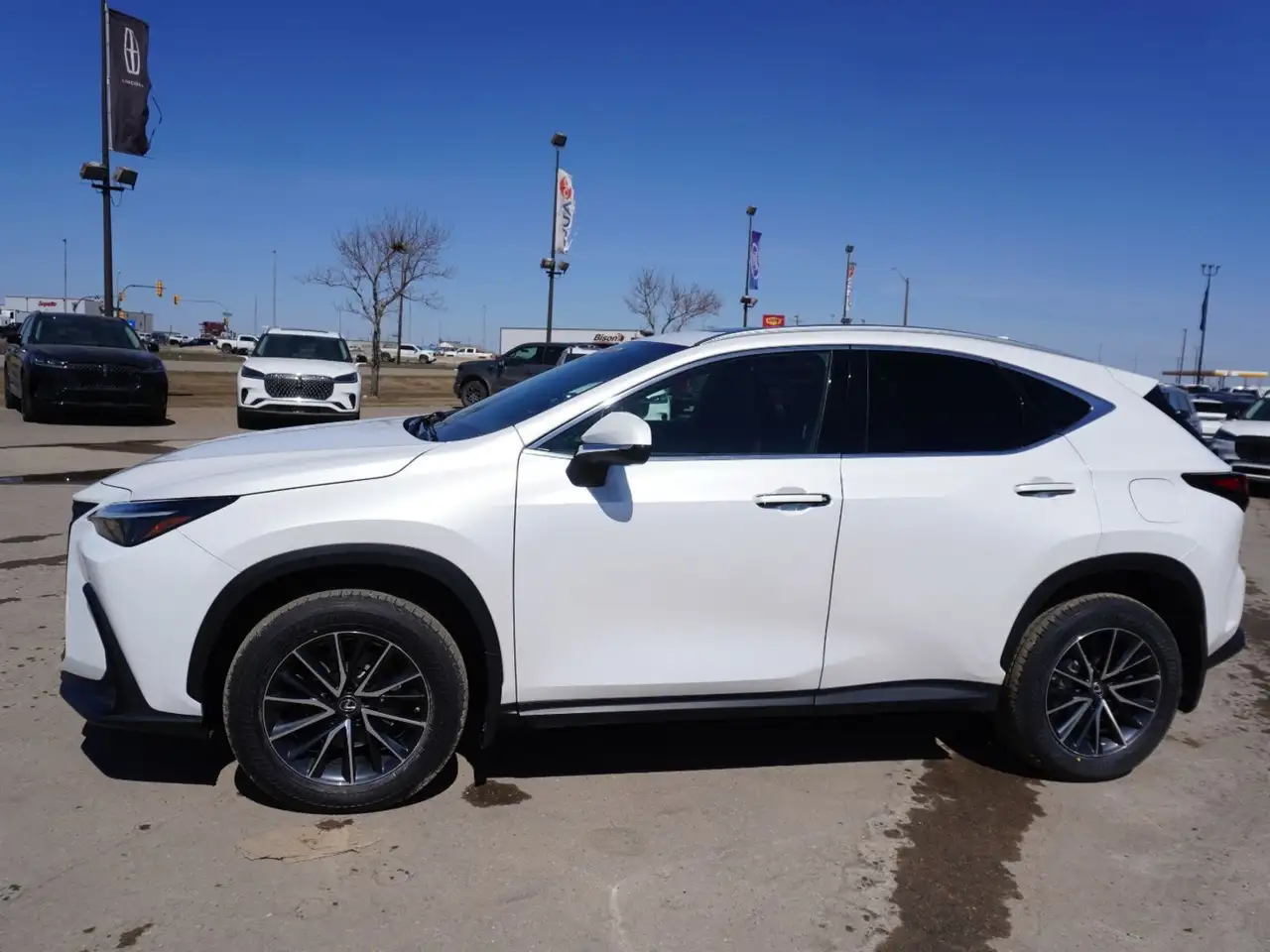 Lexus NX photo Lexus NX