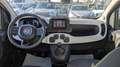 Fiat New Panda PANDINA CROSS HYBRID 1.0cc 70cv Schwarz - thumbnail 8