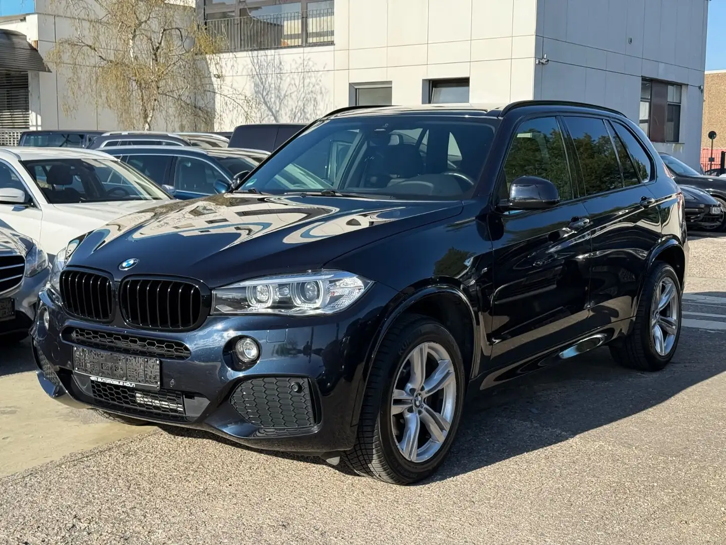 BMW X5 25d M Sport Paket/Alcantara/Memory/Ambiente Negro - 2