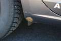 SEAT Leon Reference 1,6 TDI CR Grau - thumbnail 12