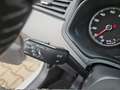 SEAT Ibiza 1.0 TSI Style/SHZ/Media-System Colour/USB Weiß - thumbnail 15