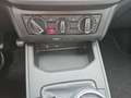 SEAT Ibiza 1.0 TSI Style/SHZ/Media-System Colour/USB Weiß - thumbnail 17