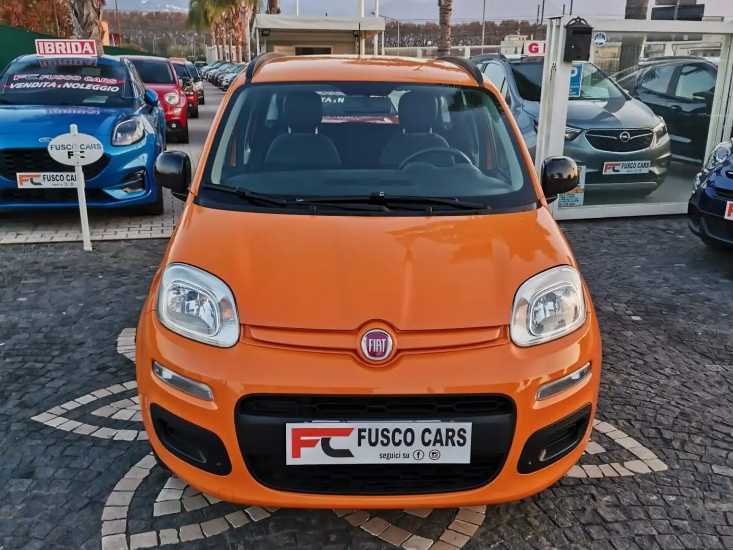 Fiat Panda Panda 1.2 Lounge Orange - 2