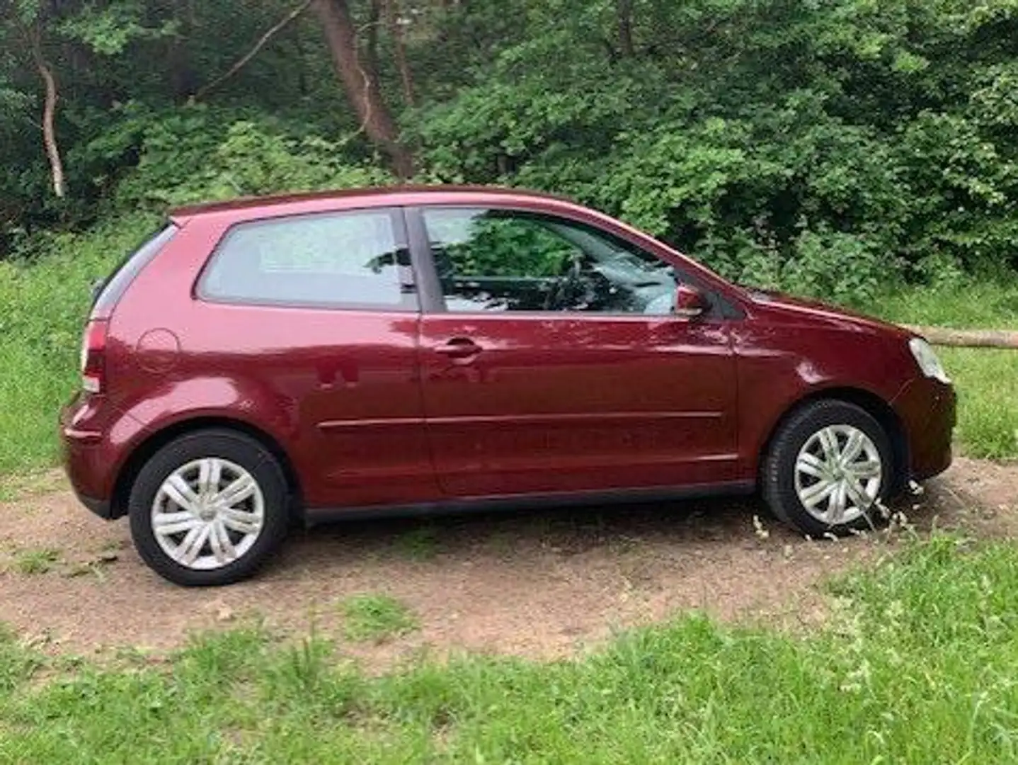 Volkswagen Polo Polo 1.4-16V Turijn Rood - 2