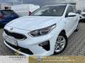 Kia Ceed SW / cee'd SW Sportswagon 1.6 CRDi Mild Hybrid Vision*ESP*SPU... Weiß - thumbnail 1