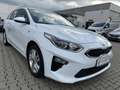 Kia Ceed SW / cee'd SW Sportswagon 1.6 CRDi Mild Hybrid Vision*ESP*SPU... Weiß - thumbnail 6