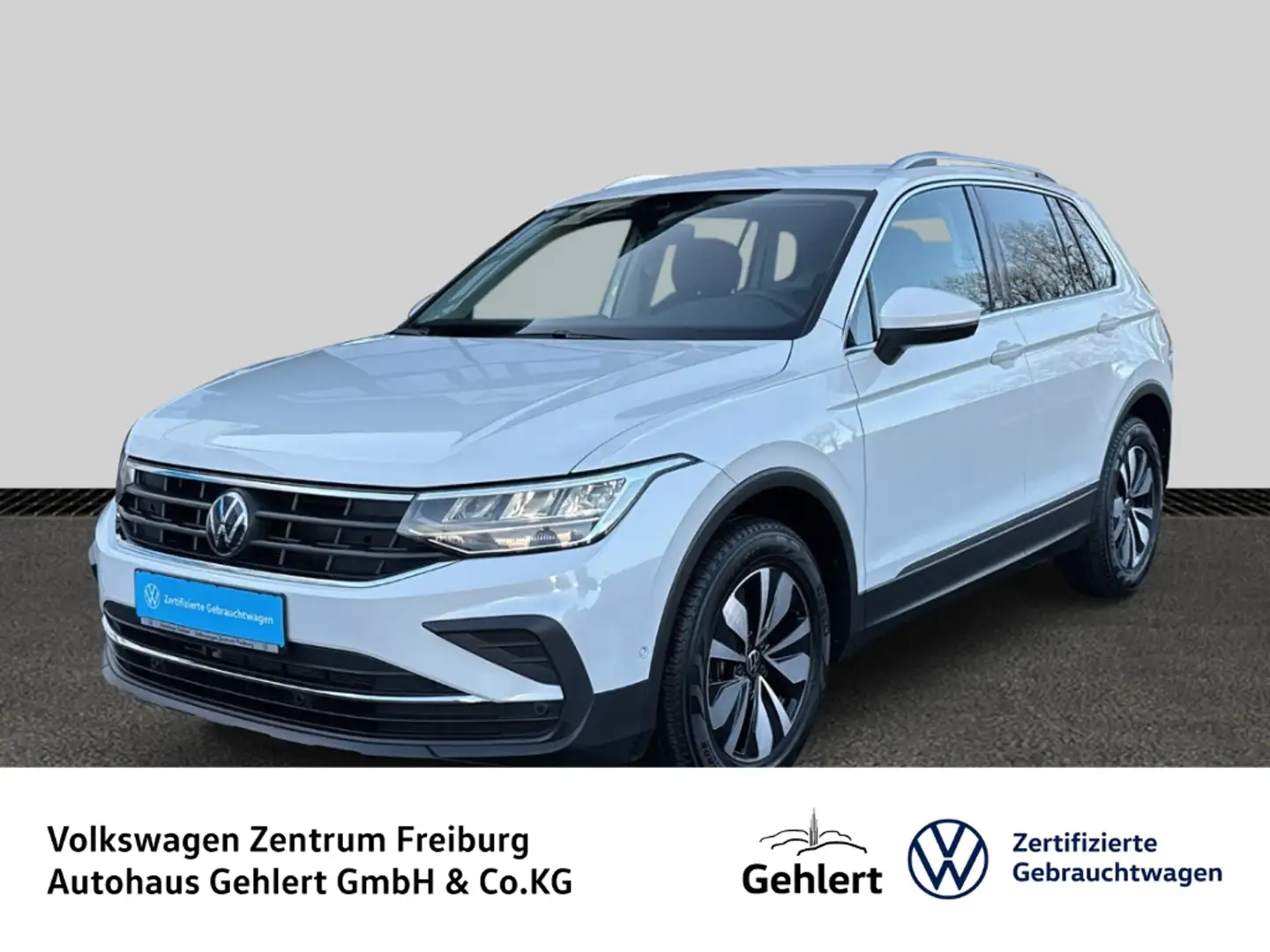 Volkswagen Tiguan Move 1.5 TSI DSG AHK Navi LED ACC Rückfahrkamera Weiß - 1