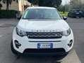 Land Rover Discovery Sport Discovery Sport I 2015 2.0 td4 Pure awd 150cv auto Wit - thumbnail 3