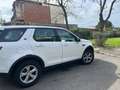 Land Rover Discovery Sport Discovery Sport I 2015 2.0 td4 Pure awd 150cv auto Wit - thumbnail 4