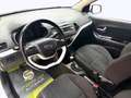 Kia Picanto 1.0 LPG Spirit / LENKH / ALU / SHZ Weiß - thumbnail 9