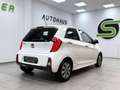 Kia Picanto 1.0 LPG Spirit / LENKH / ALU / SHZ Weiß - thumbnail 7
