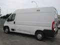 Fiat Ducato 35 2.3 MJT 130CV MH2 PM-TA Motore Rotto Weiß - thumbnail 4