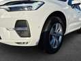 Volvo XC60 XC60 B4 B Geartronic Momentum Pro Weiß - thumbnail 6