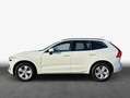 Volvo XC60 XC60 B4 B Geartronic Momentum Pro Weiß - thumbnail 4