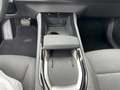 Renault Austral 1.3 TCe 140 Equilibre - AUTOMATIK Schwarz - thumbnail 12