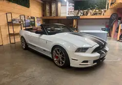 Ford Mustang V6 Cabriolet Ex Olivier Panis