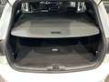 Ford Focus 1.0 EcoB. Tit. XBns ST-line Wit - thumbnail 9