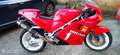 Ducati 851 superbike Rood - thumbnail 2