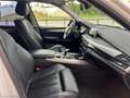 BMW X5 xDrive25d 231CV CAMERA CERCHI 20 PELLE Alb - thumbnail 9