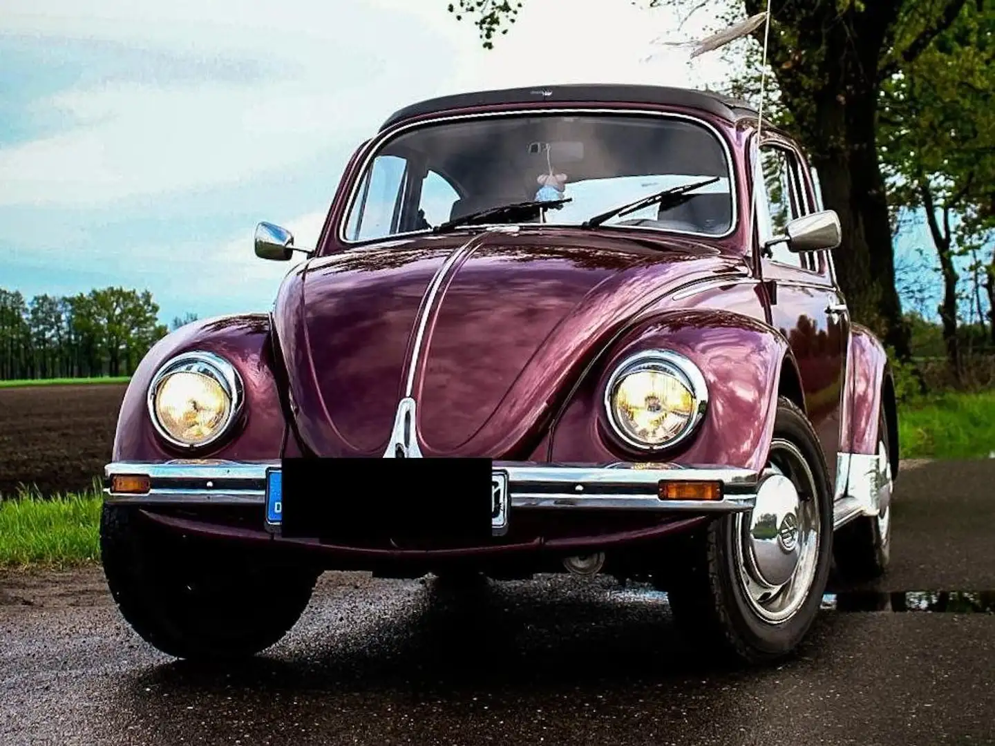 Volkswagen Käfer 1600i Violett - 1