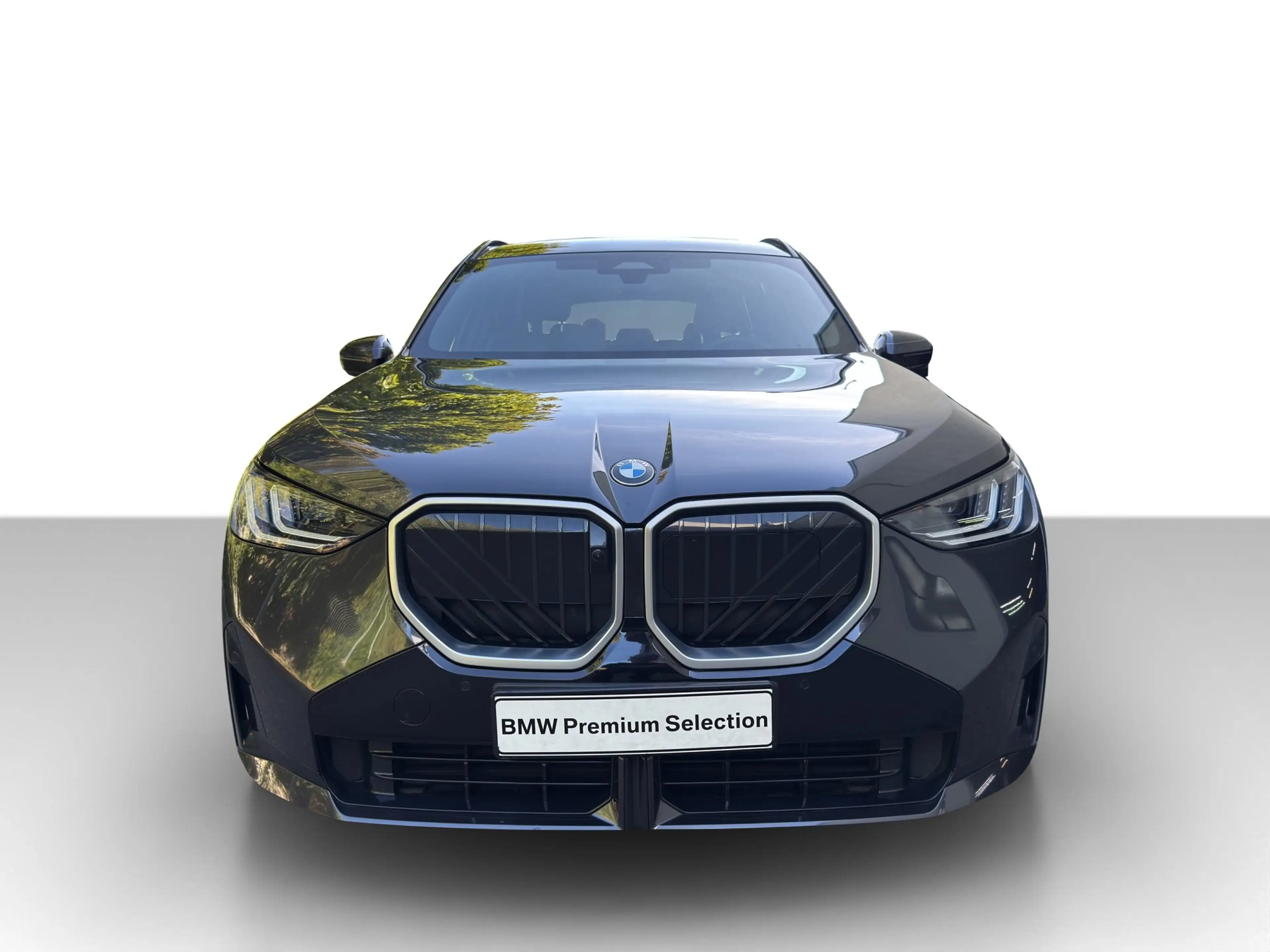 BMW X3 20 xDrive M Sport Navi.LED.AHK.360°.Pano.ACC — photo 4