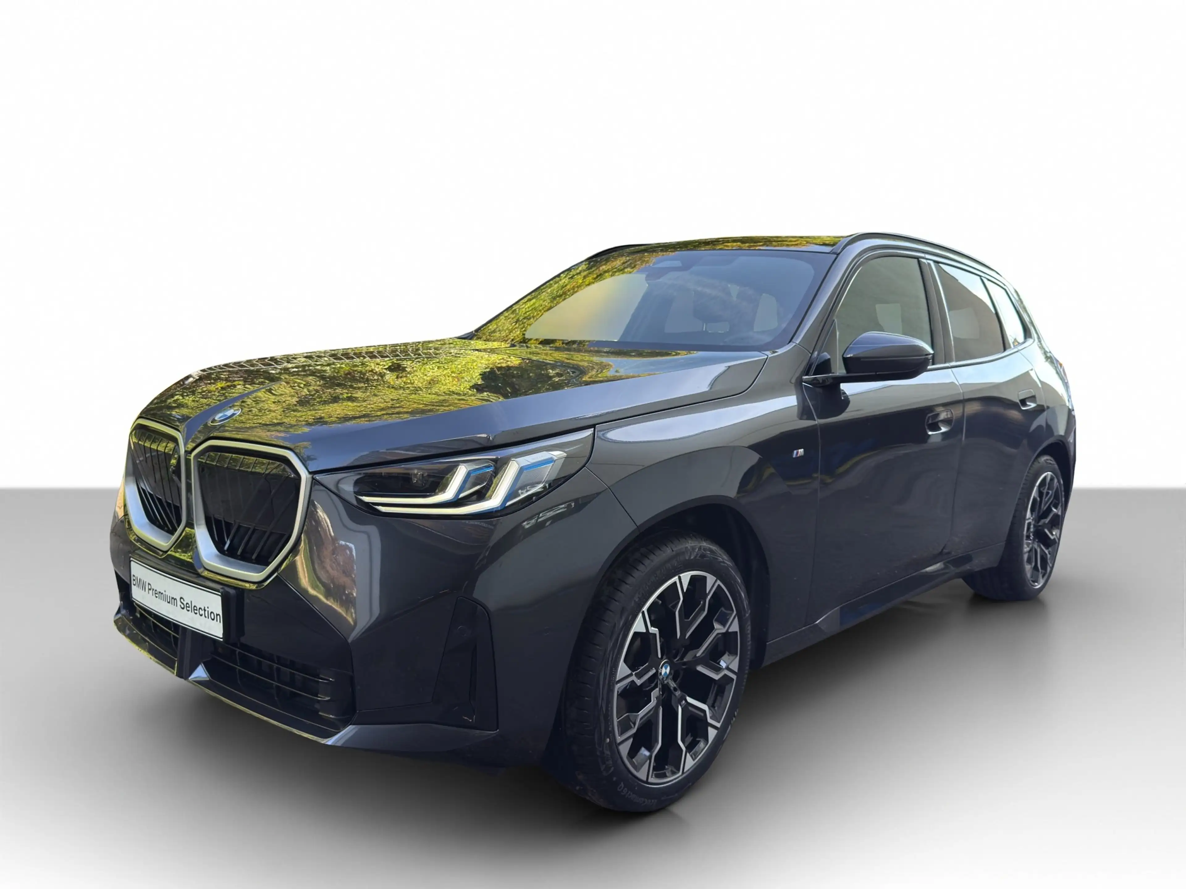 BMW X3 20 xDrive M Sport Navi.LED.AHK.360°.Pano.ACC