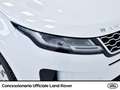 Land Rover Range Rover Evoque 2.0 i4 mhev se awd 249cv auto Blanc - thumbnail 18