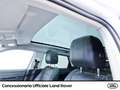 Land Rover Range Rover Evoque 2.0 i4 mhev se awd 249cv auto Blanc - thumbnail 8