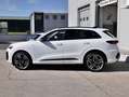 Audi Q5 NEW 2.0 Tdi Quattro 204cv S-tronic S-line edition Weiß - thumbnail 2